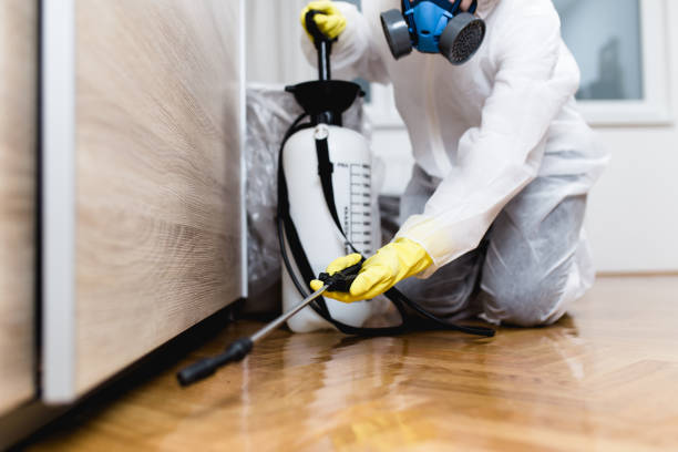 Best Pest Removal Services  in Gulfport, FL