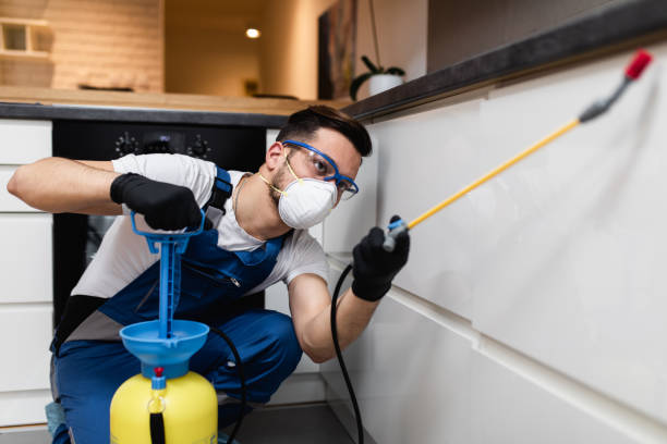 Wasp Removal Services in Gulfport, FL