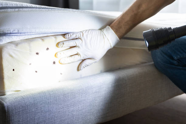 Best Pest Prevention Services  in Gulfport, FL