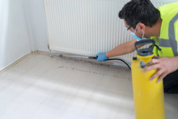 Best Affordable Pest Control Services  in Gulfport, FL