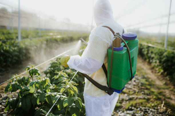Pest Control Cost in Gulfport, FL